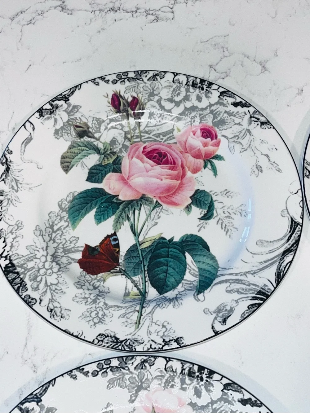 American Atelier Rose Toile Porcelain 8” Salad Plate Floral Set of 4 #5232